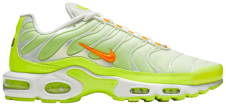 Air Max Plus TN 'Colour Flip - Light'