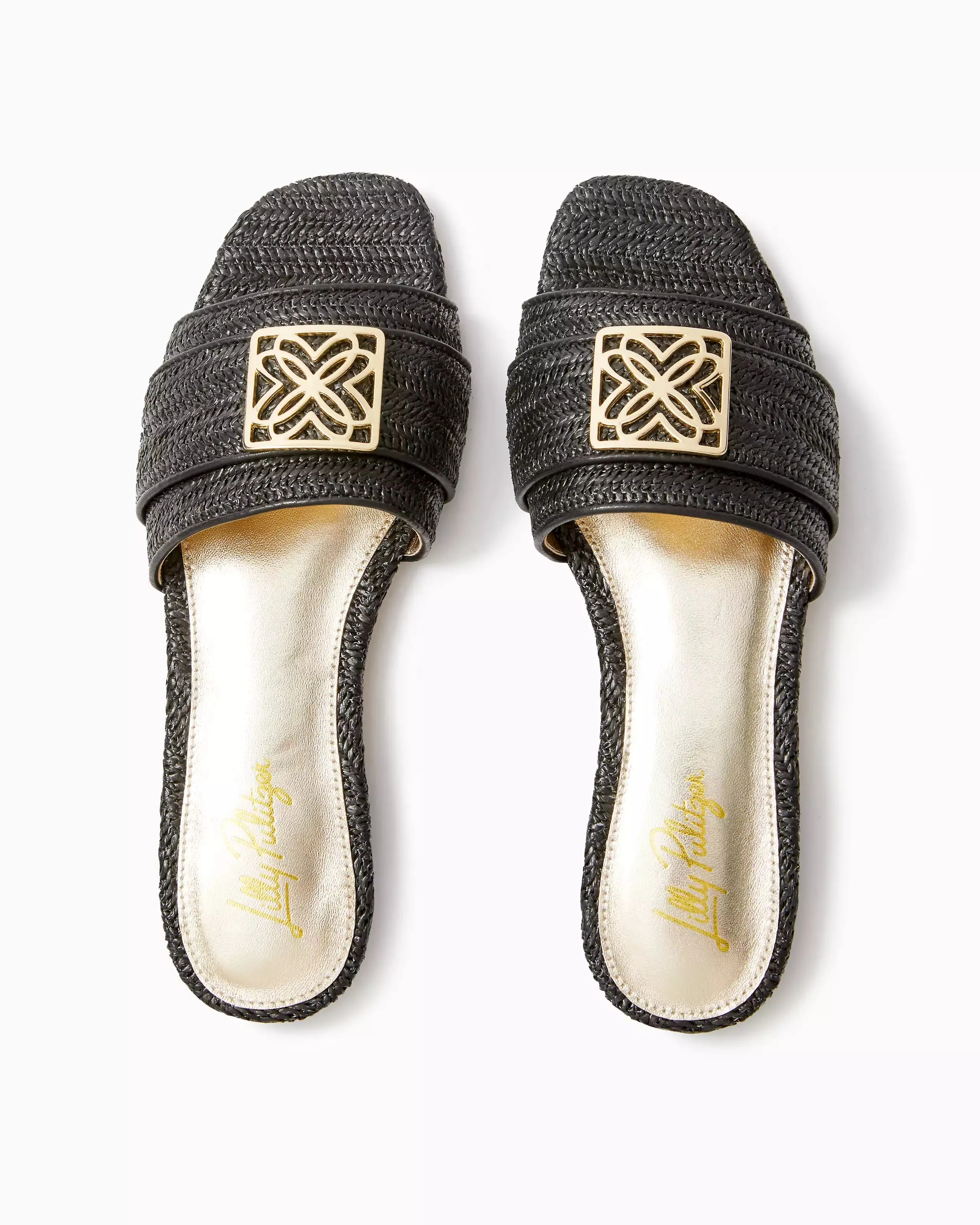 Dayna Sandal (Noir)