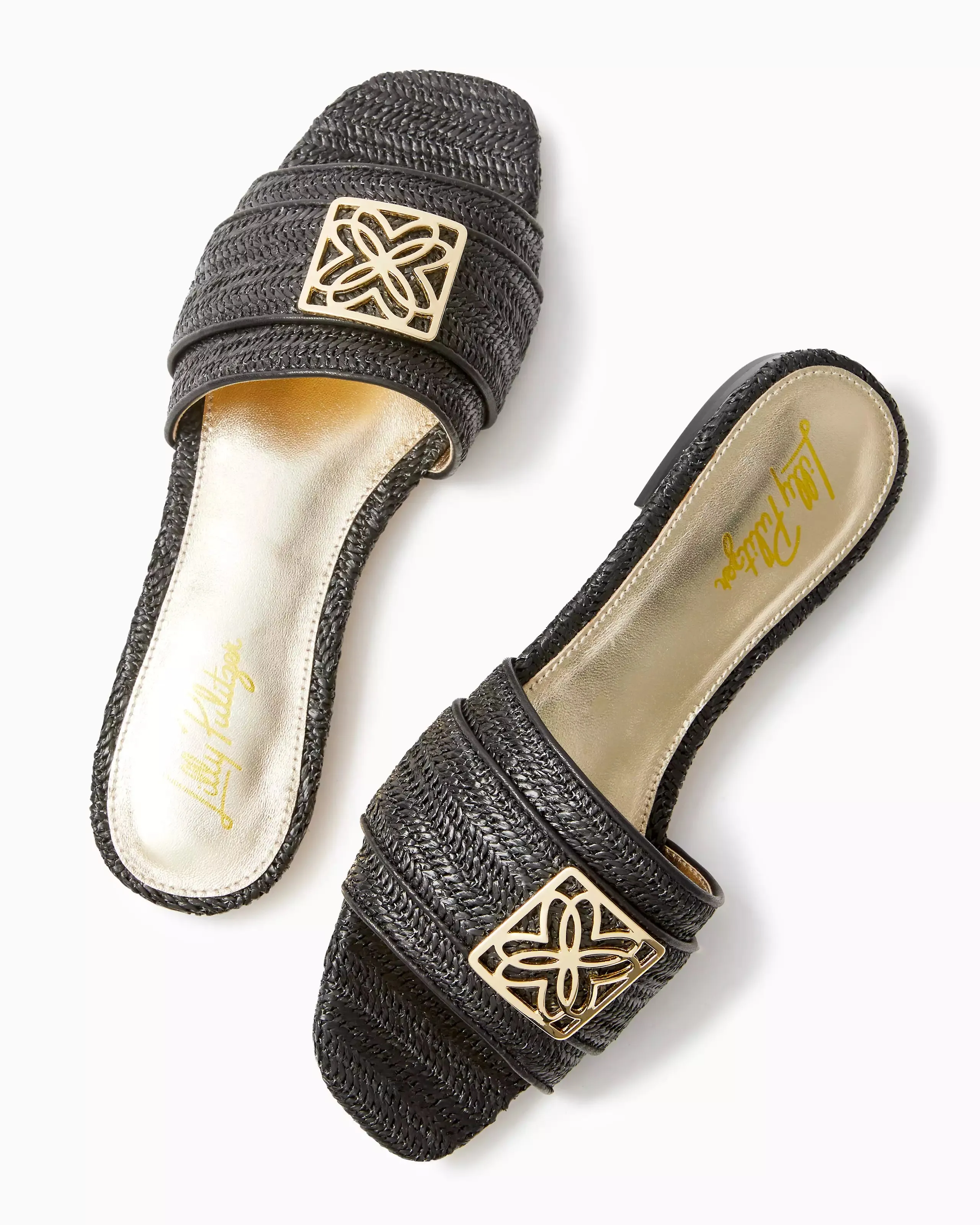 Dayna Sandal (Noir)